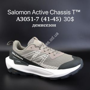 Мужские кроссовки Salomon Active Chassis T™ демисезон A3051-7 SU