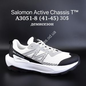 Мужские кроссовки Salomon Active Chassis T™ демисезон A3051-8 SU