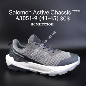 Мужские кроссовки Salomon Active Chassis T™ демисезон A3051-9 SU