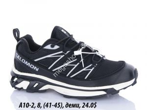 Мужские кроссовки Salomon XT6 Expanse деми A10-2 FL