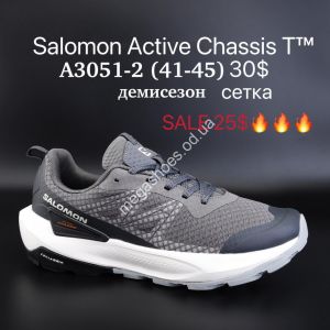 Мужские кроссовки Salomon Active Chassis T™ демисезон, сетка A3051-2 SU
