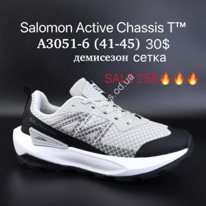 Мужские кроссовки Salomon Active Chassis T™ демисезон, сетка A3051-6 SU
