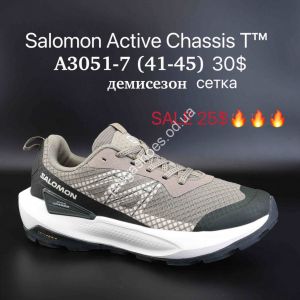 Мужские кроссовки Salomon Active Chassis T™ демисезон, сетка A3051-7 SU