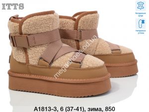 Угги ITTS зима А1813-3 TS